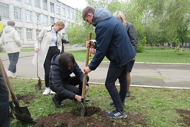 Молодцы, тимуровцы!